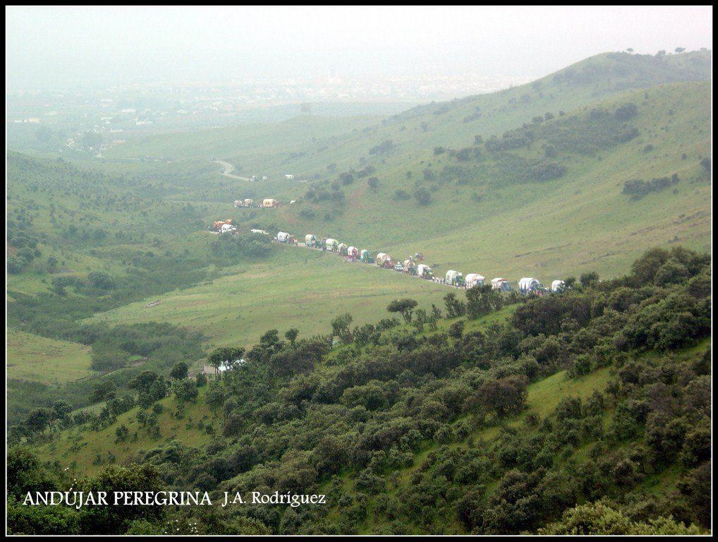 Carretas haciendo el camino en la Romería Virgen de la Cabeza