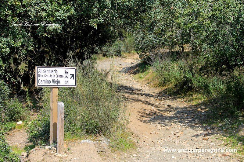 Hito en el cordel de los molinos Sierra de Andújar letrero camino santuario virgen de la cabeza