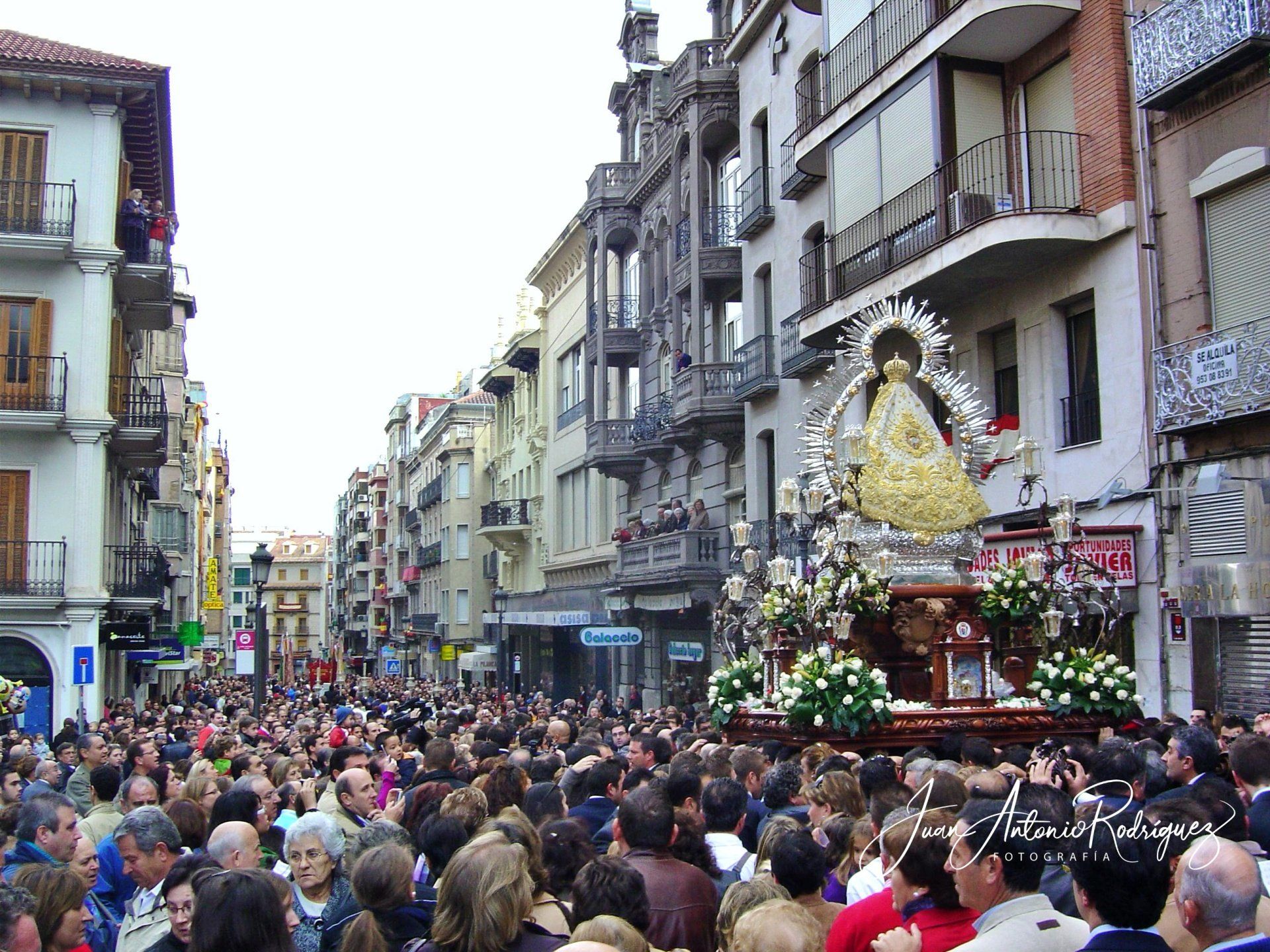 Rosa de Oro Virgen de la Cabeza Andujar