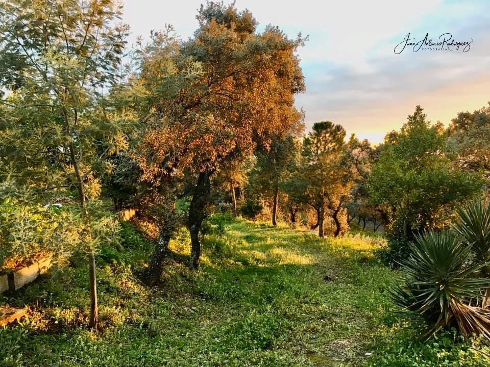 Fotografía del Parque natural de la Sierra de Andújar