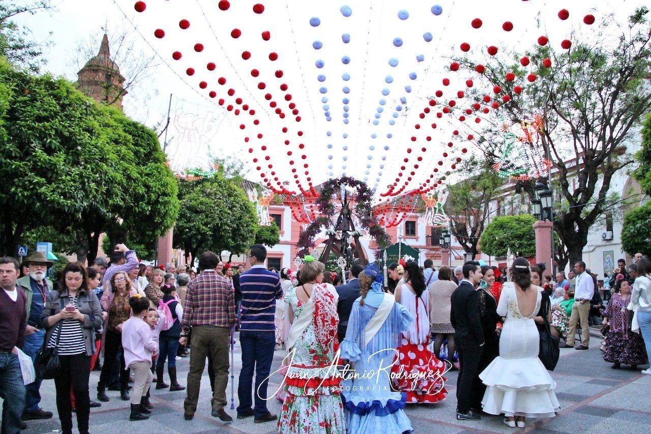 Recepción de cofradías filiales en Romería recepcion cofradias filiales romeria
