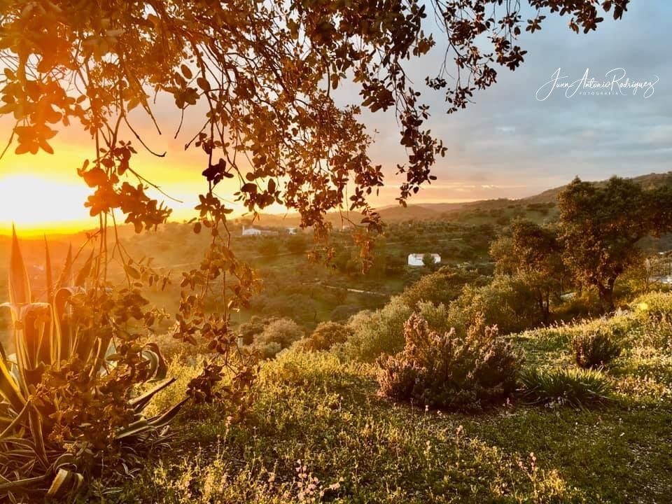 Puesta de sol en la Sierra de Andújar atardecer en la sierra andujar