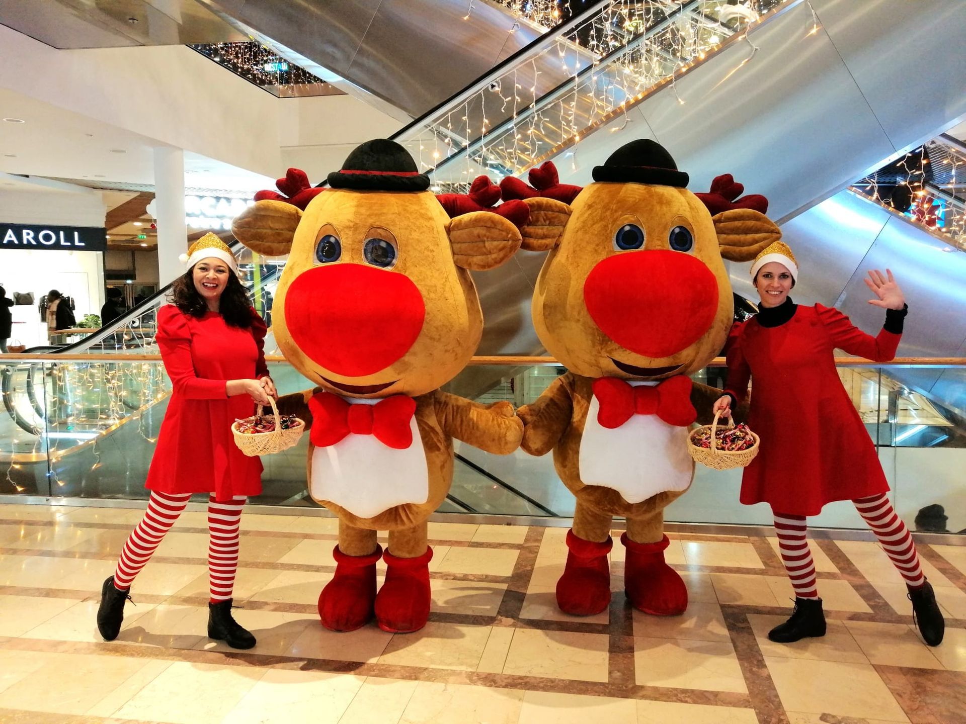 Les Rennes Rigolos Les Rennes Rigolos