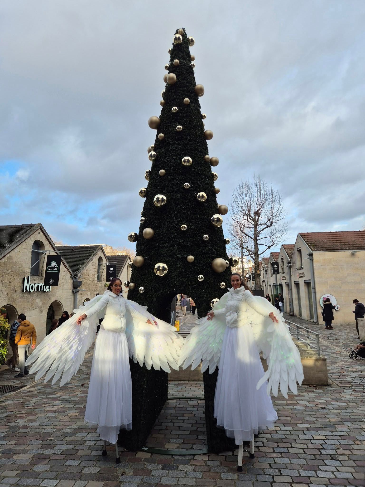 Les Echassiers Oiseaux Majestueux Les Echassiers Oiseaux Majestueux