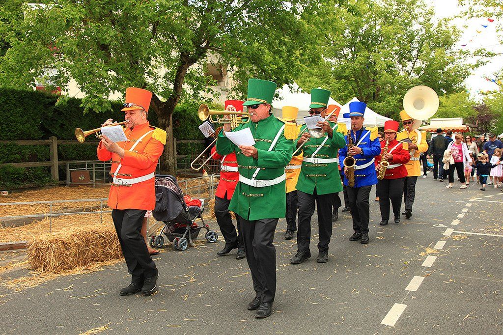 Casse Noisette Casse Noisette