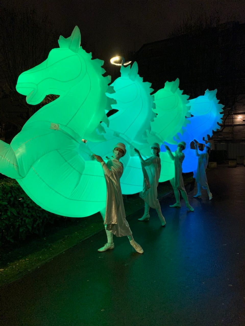 Féerie équestre Féerie équestre