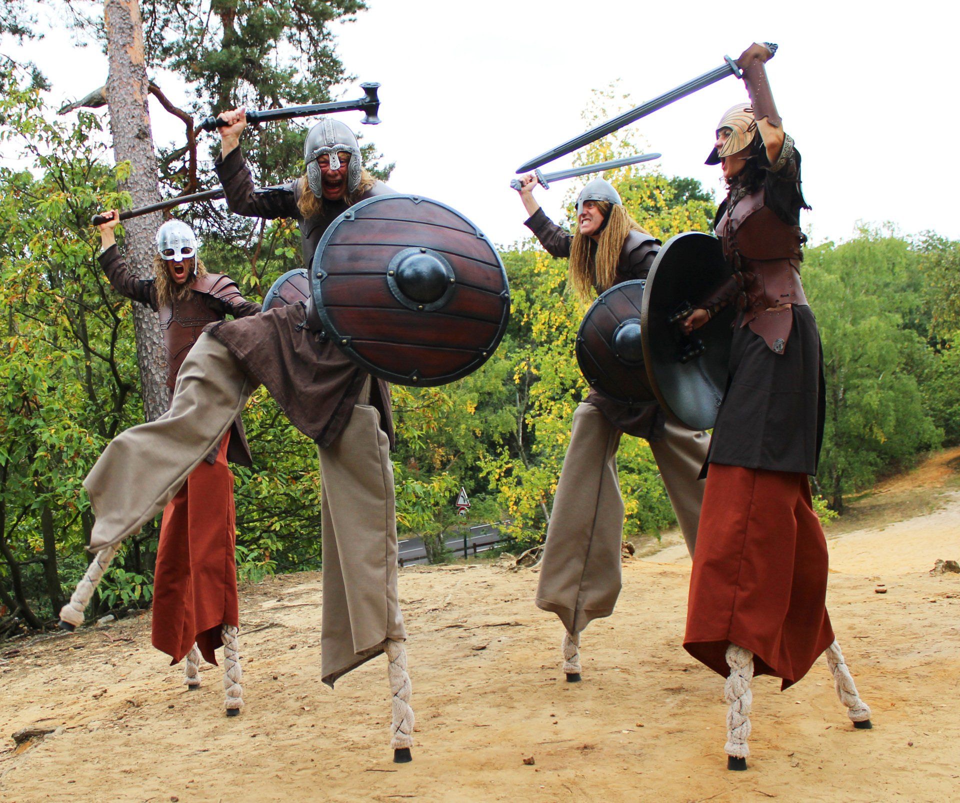 Les Vikings Les Vikings