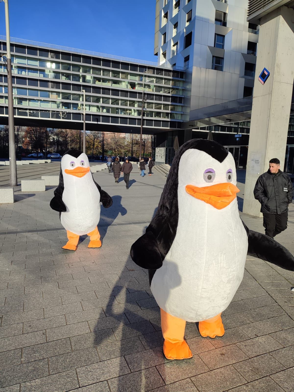 Les Pingouins Les Pingouins