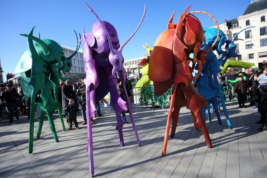 Les Chromoaptères Les Chromoaptères