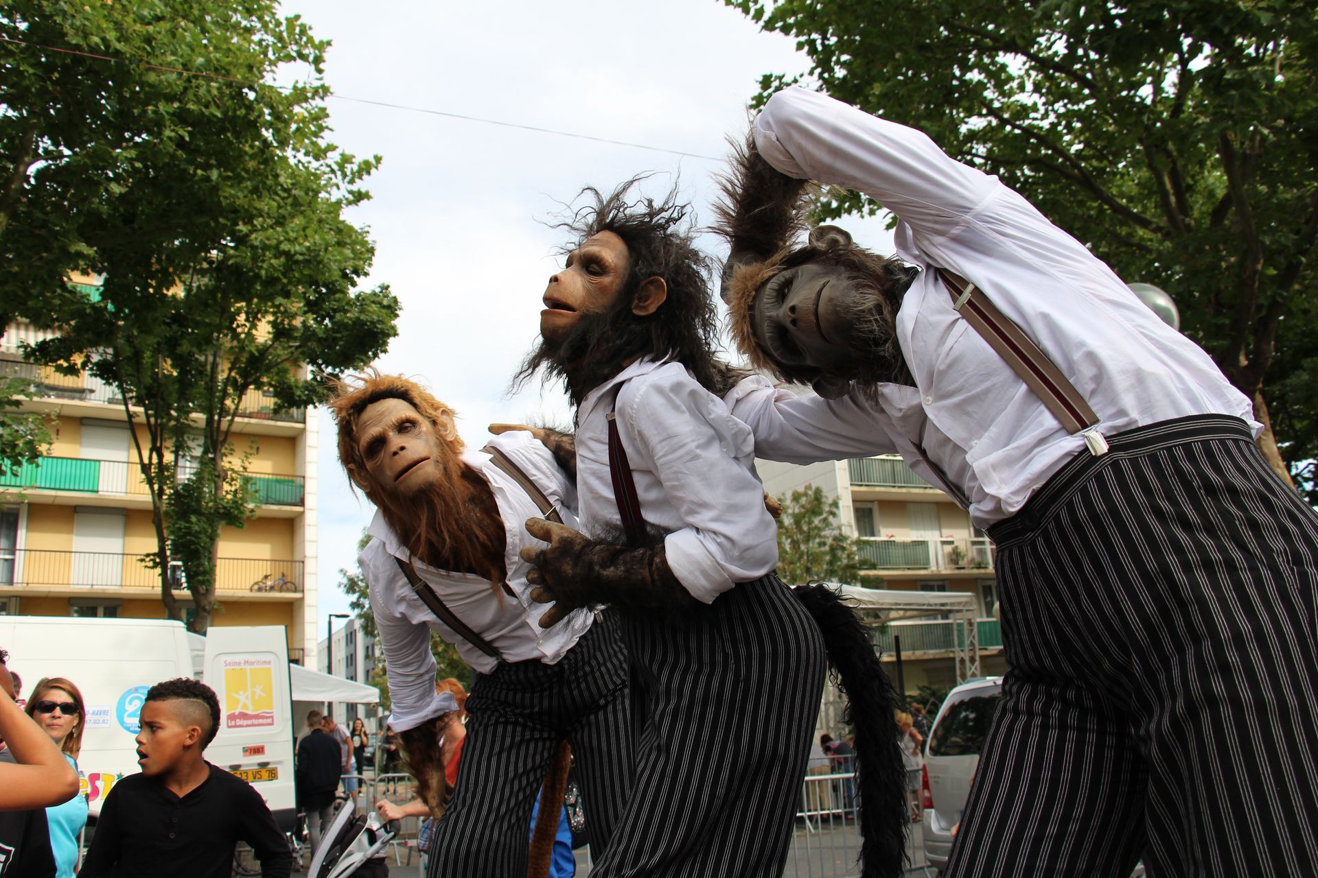 Les Singes Les Singes