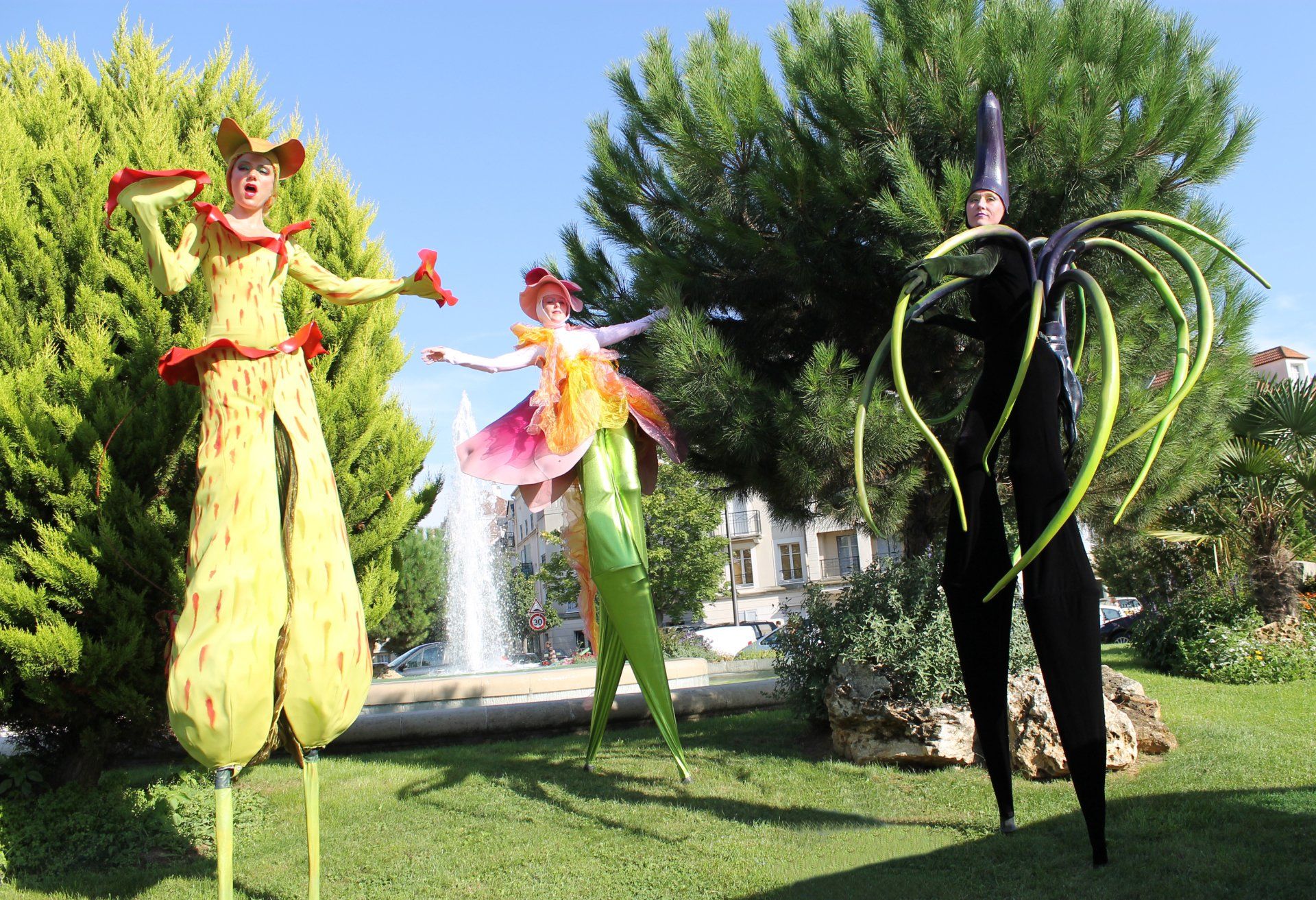 Les jungle sister's Les jungle sister's