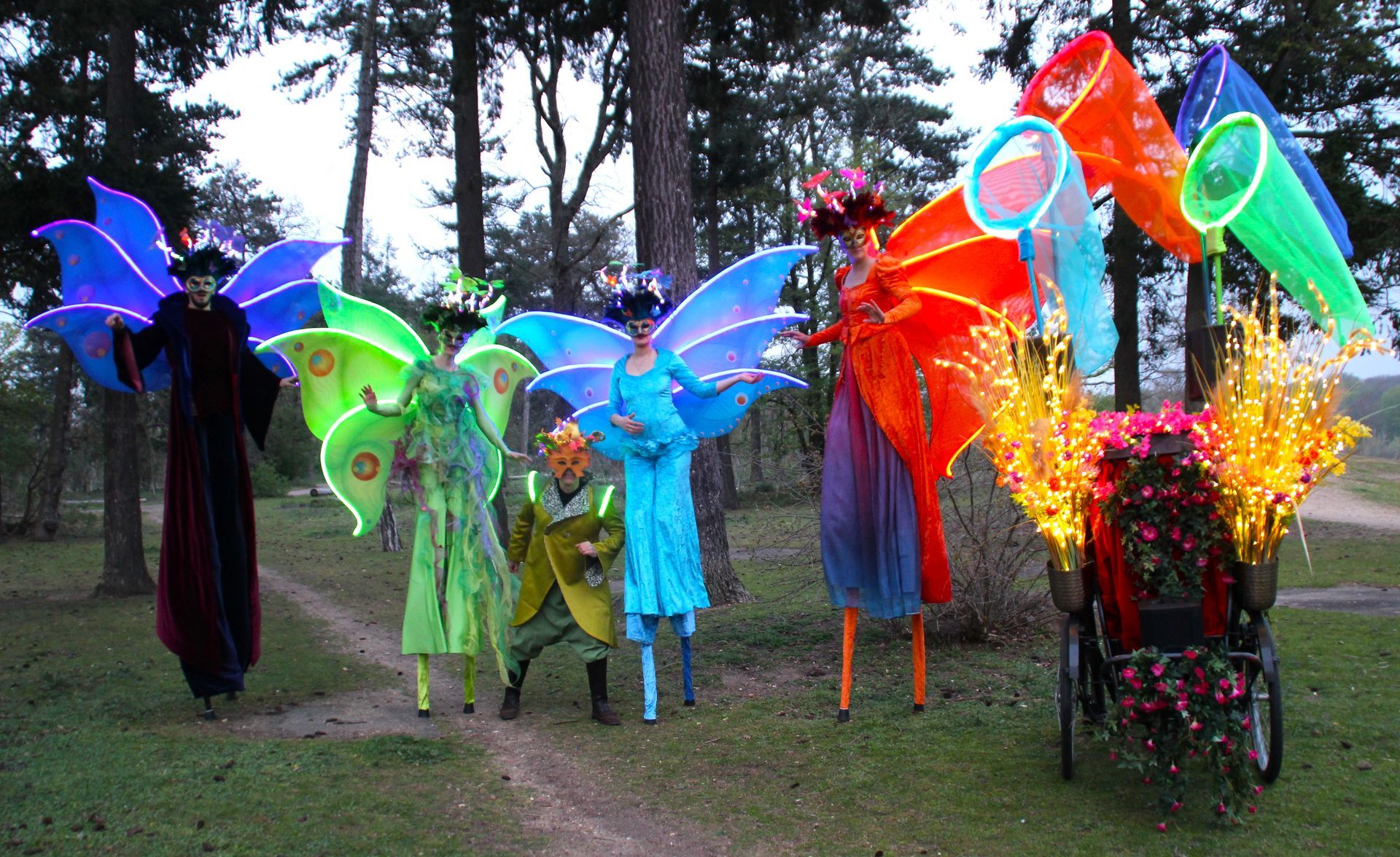 Les Elfes Papillons des Tropiques Les Elfes Papillons des Tropiques