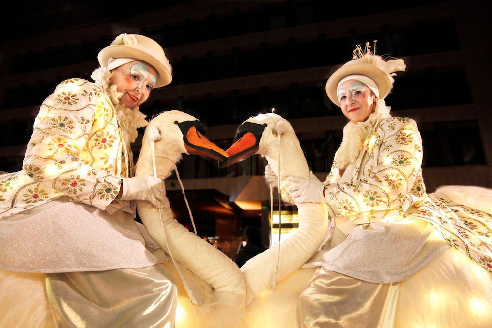 La Merveille des Cygnes La Merveille des Cygnes