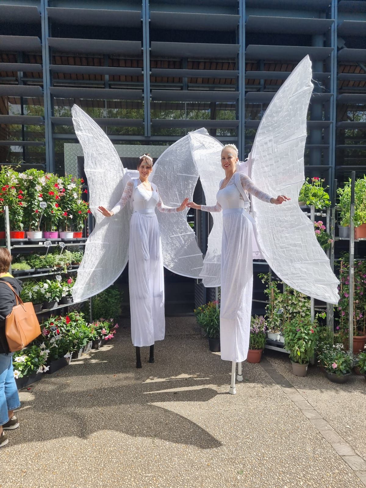 Les Papillons Fantastiques Les Papillons Fantastiques