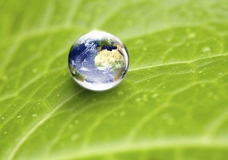 Systemische Therapie - Biologisches Dekodieren in Offenburg