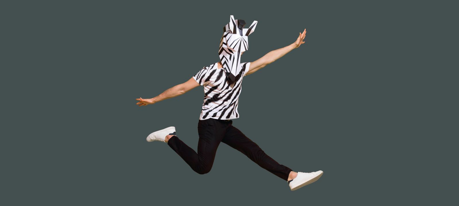 Karriere bei ZEBRA