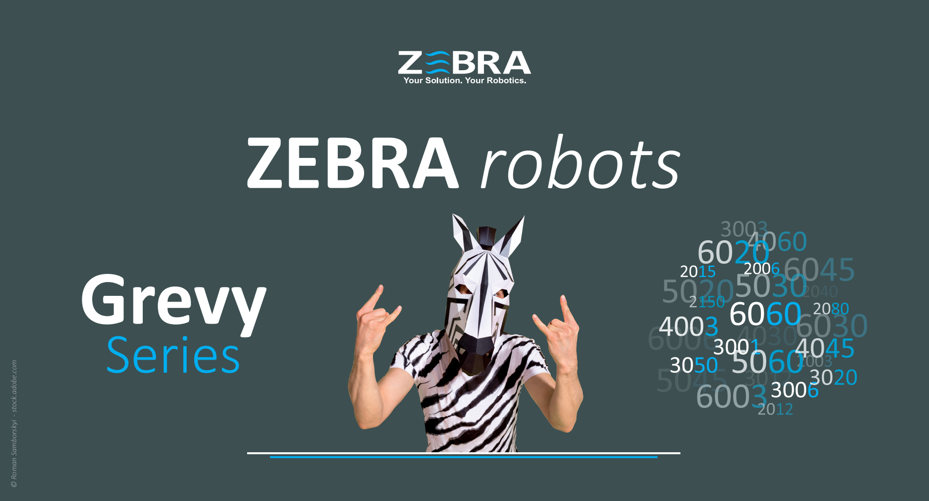 Von 2 bis 6 Achsen. Von 3 bis 150 kg. Die Zebra Grevy Series.
