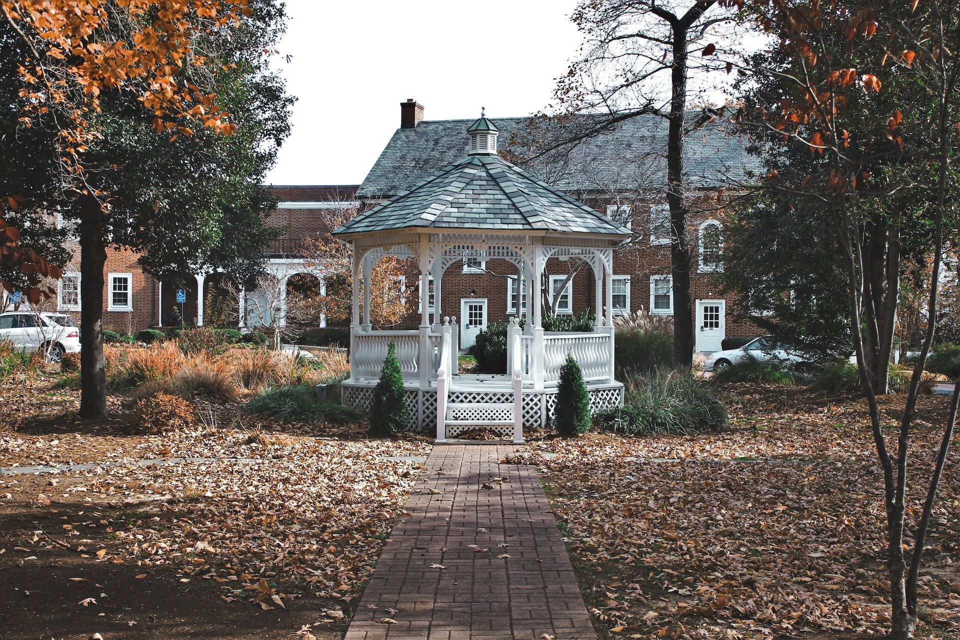 garden during fall season