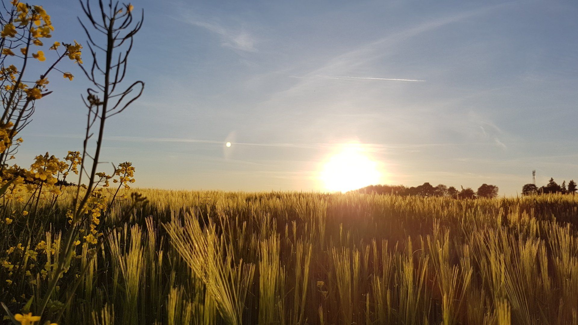 Goldene Stunde Goldene Stunde Rindenmoos by NATURetekk®