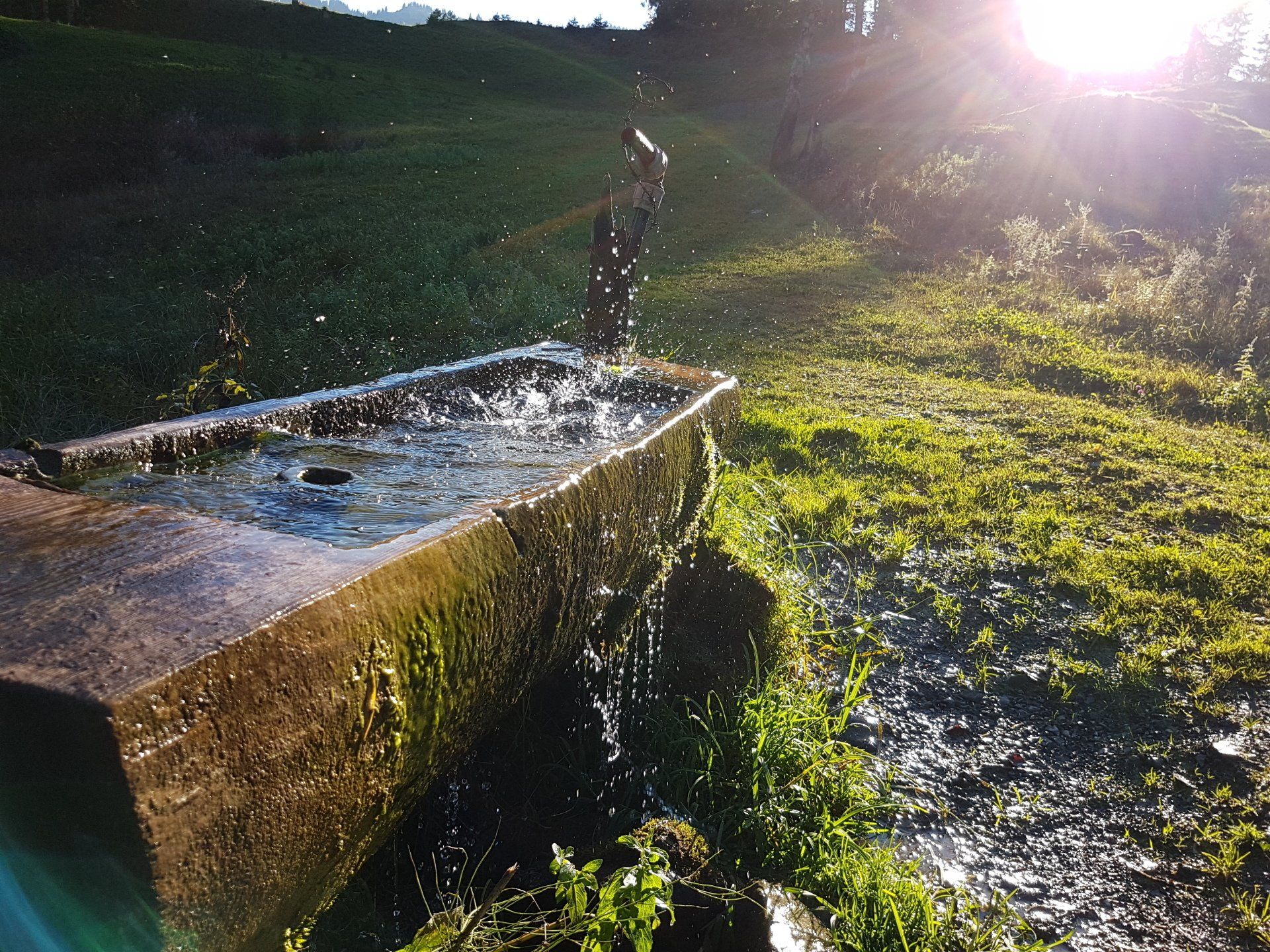 Wasser Tränke by NATURetekk