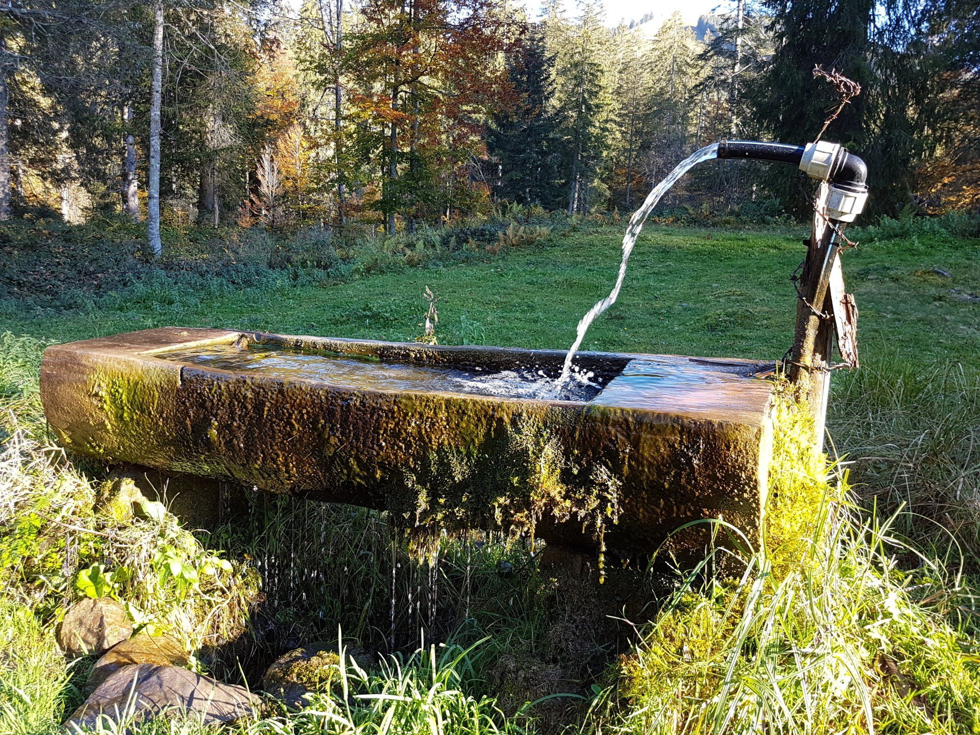 Natur Brunnen Tränke Wasser by NATURetekk