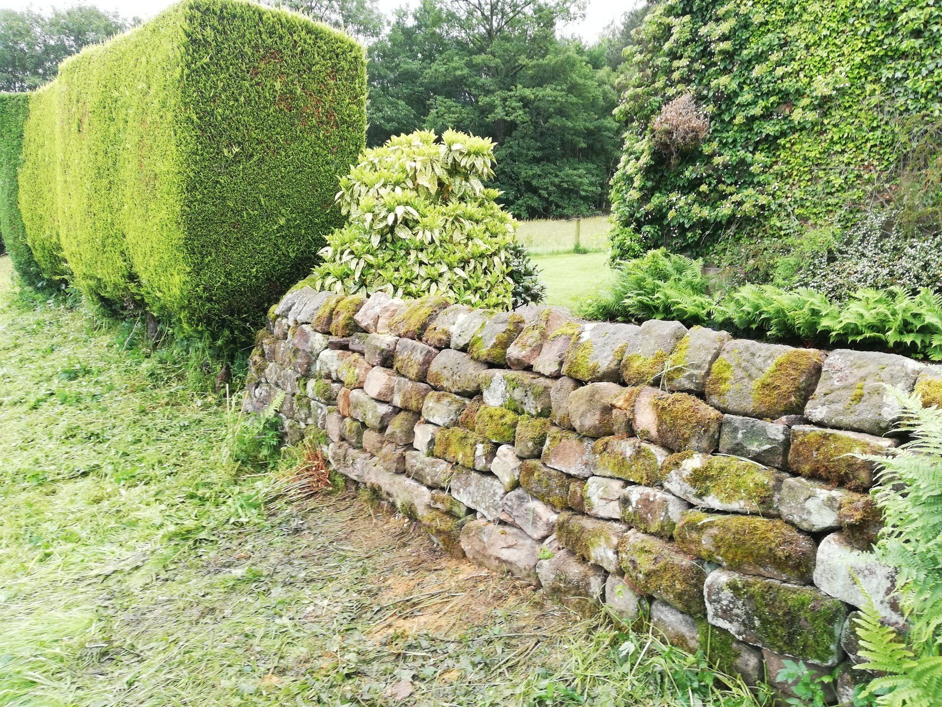 Dry Stone Wall