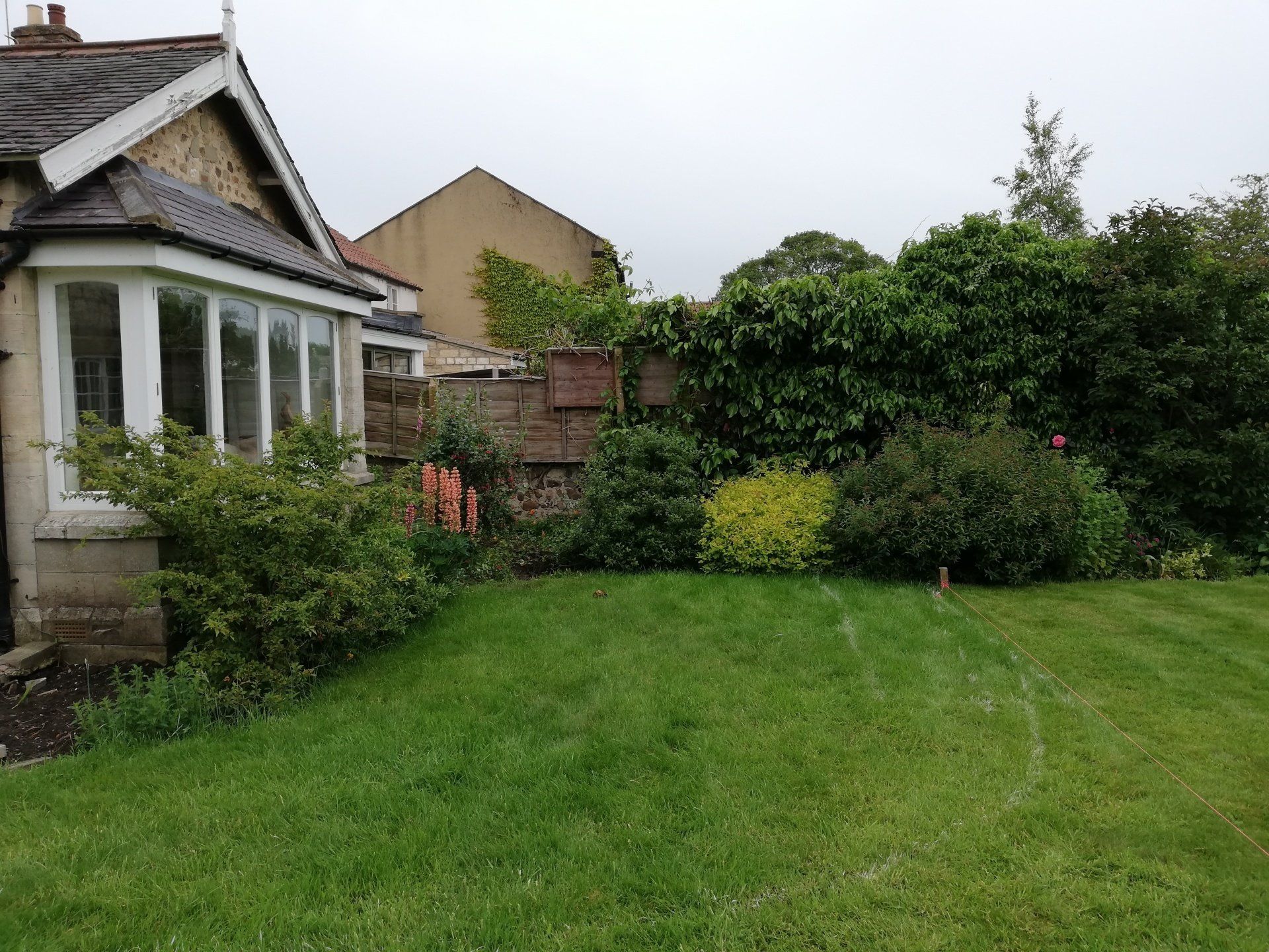 Garden Before