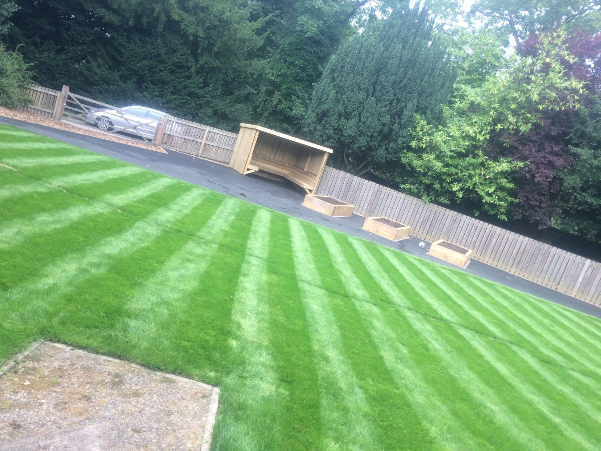 New Turf after 2 weeks and first cut