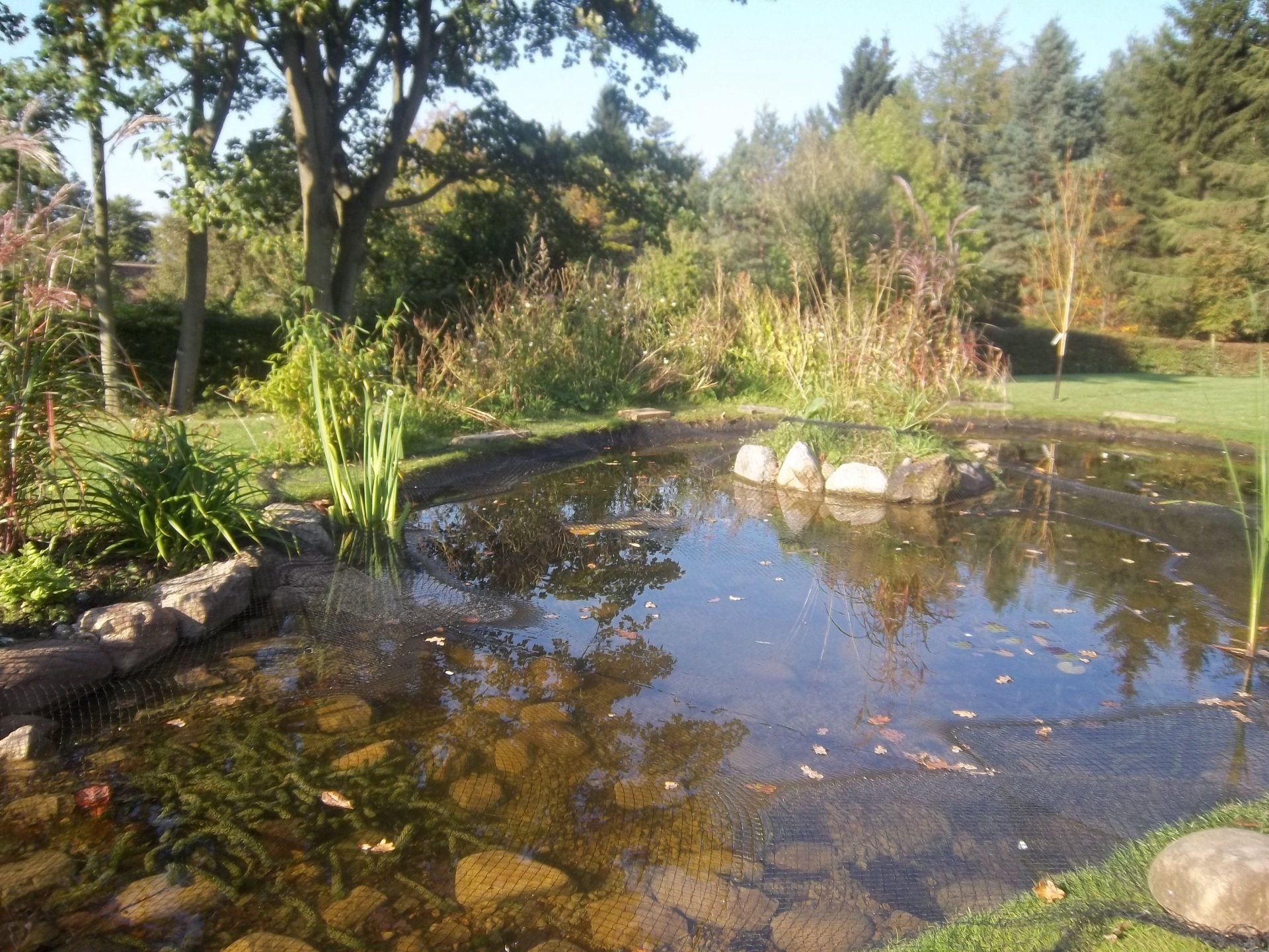 Nature Pond