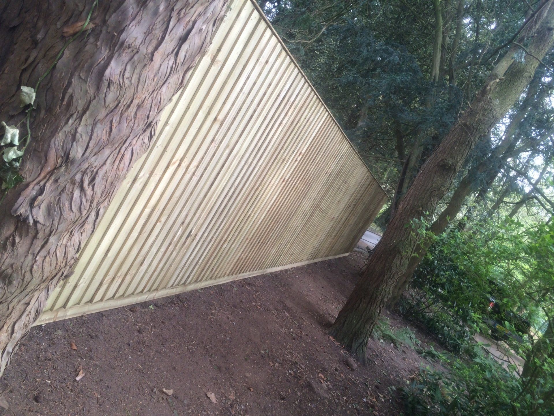 Feather Edge Board Fencing