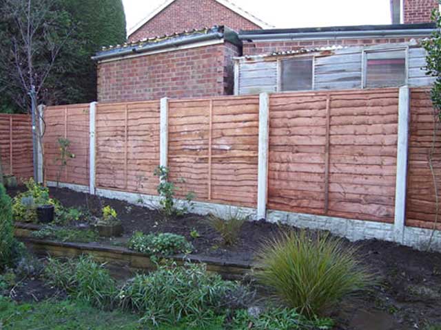 Larch Lap Panels