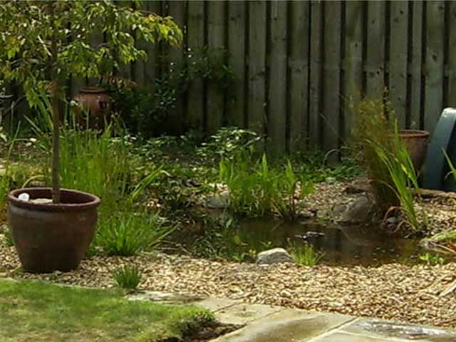 Natural Gravel Pond