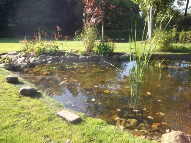 Nature Pond