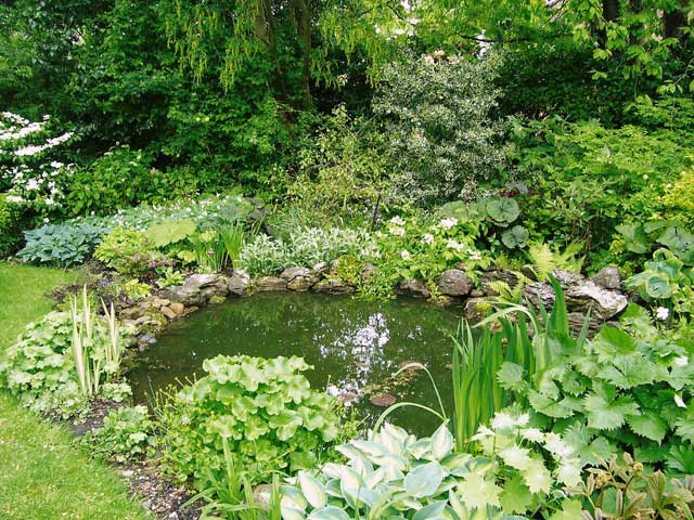 Pond Planting Schemes