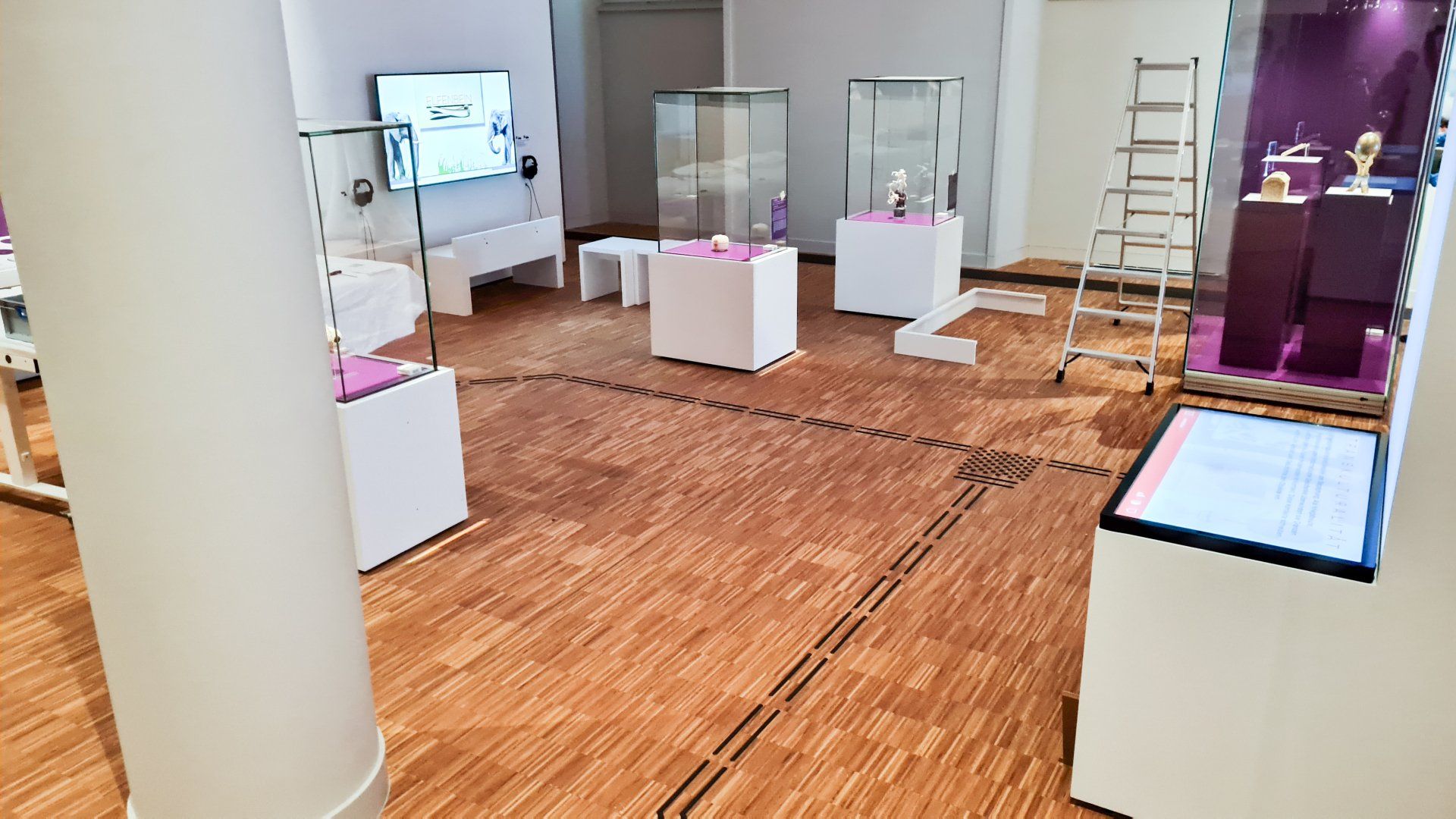Ein Bodenleitsystem das verschiedenen Ausstellungsstücke in Glaskästen verbindet