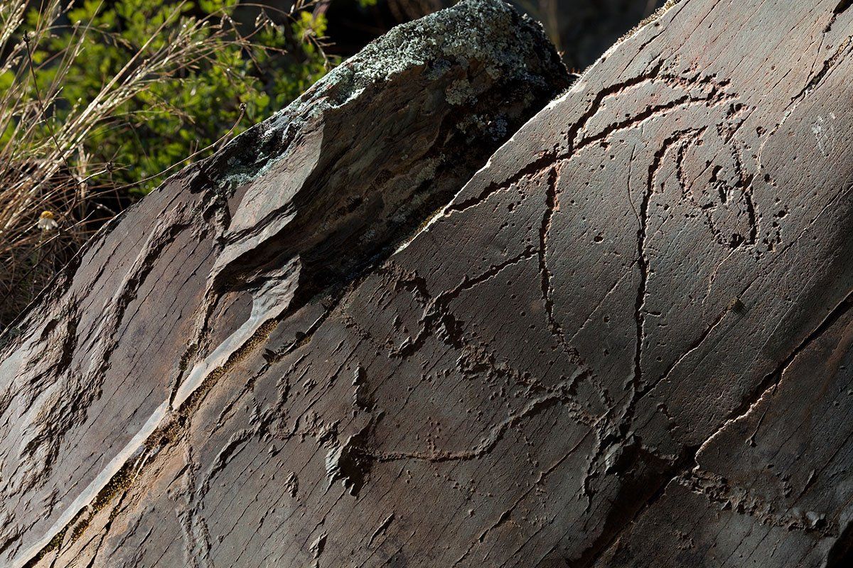 imagen caballo tallado en roca