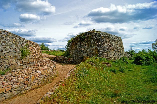 muralla castro vetón