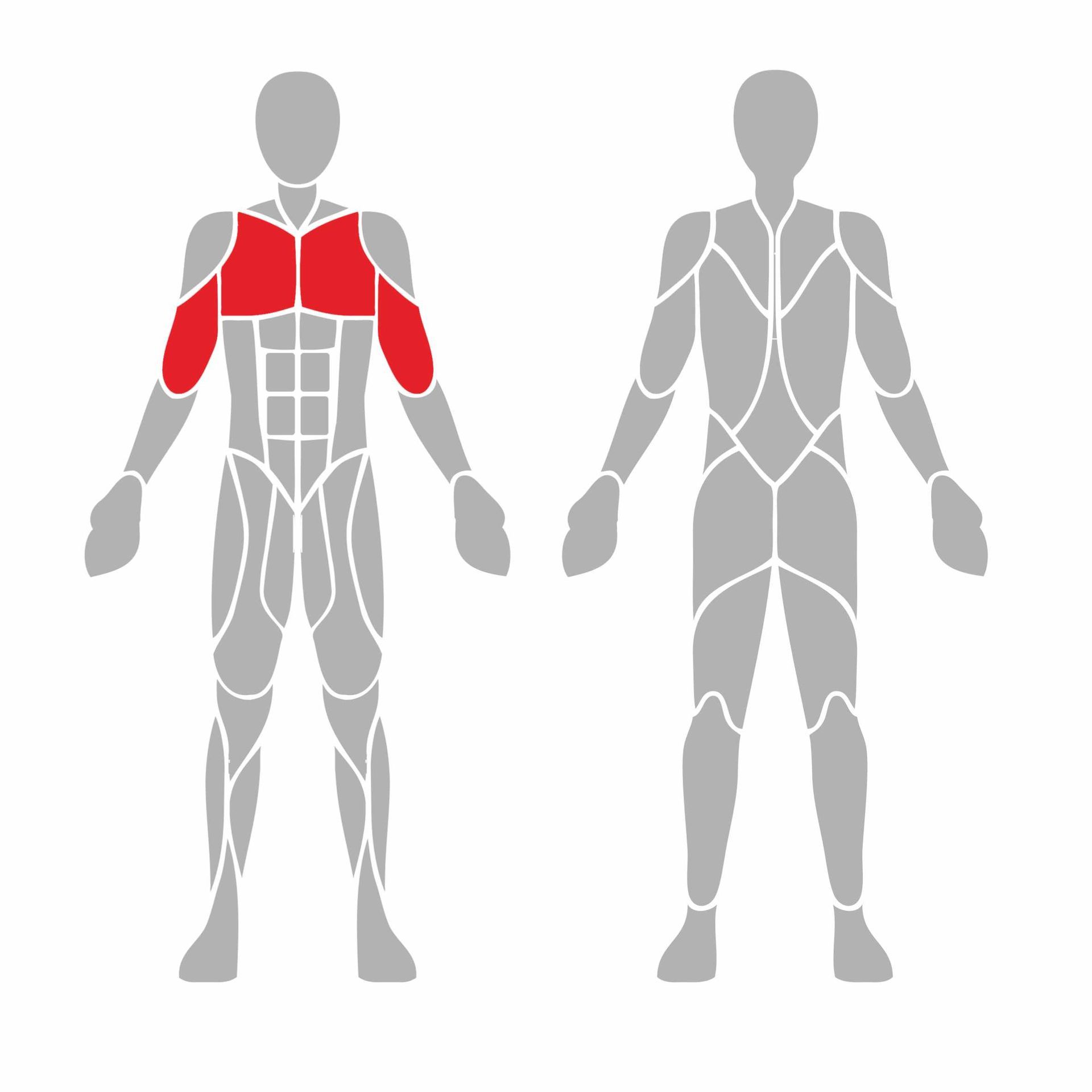 OPTIGN-002 OPTIFIT IGNITE OUTDOOR VARIABLE LOAD STANDING FLY MUSCLES USED OPTIGN-002 OPTIFIT IGNITE OUTDOOR VARIABLE LOAD STANDING FLY MUSCLES USED