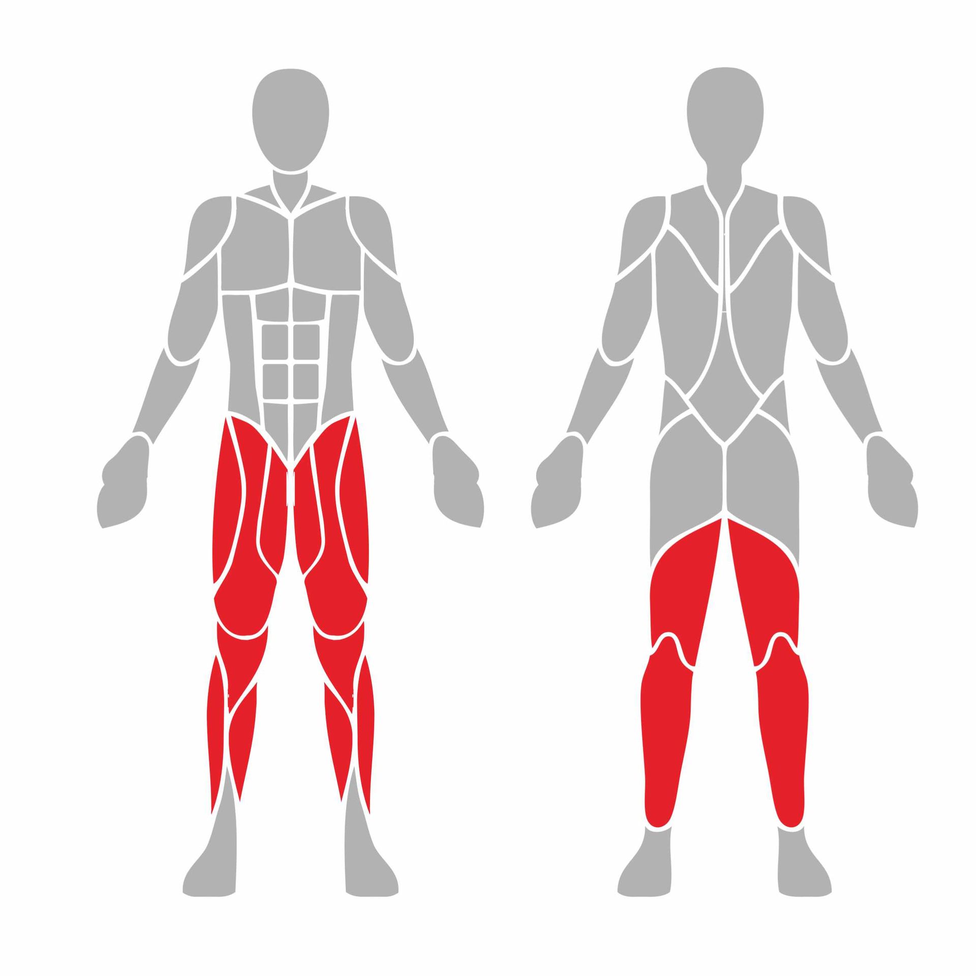 OPTIGN-003 OPTIFIT IGNITE OUTDOOR VARIABLE LOAD LEG PRESS MUSCLES USED OPTIGN-003 OPTIFIT IGNITE OUTDOOR VARIABLE LOAD LEG PRESS MUSCLES USED