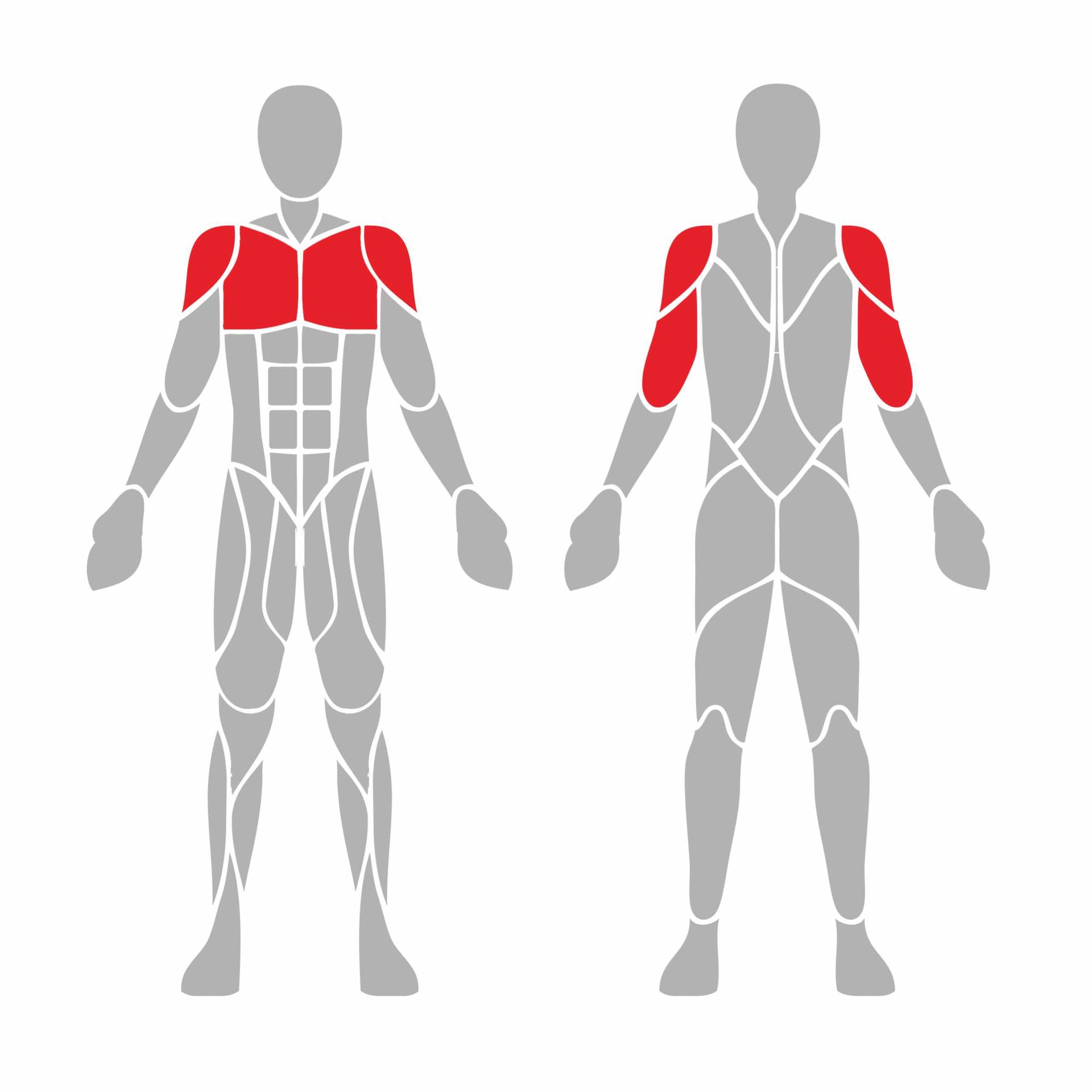 OPTIGN-006 OPTIFIT IGNITE OUTDOOR VARIABLE LOAD CHEST PRESS MUSCLES USED OPTIGN-006 OPTIFIT IGNITE OUTDOOR VARIABLE LOAD CHEST PRESS MUSCLES USED