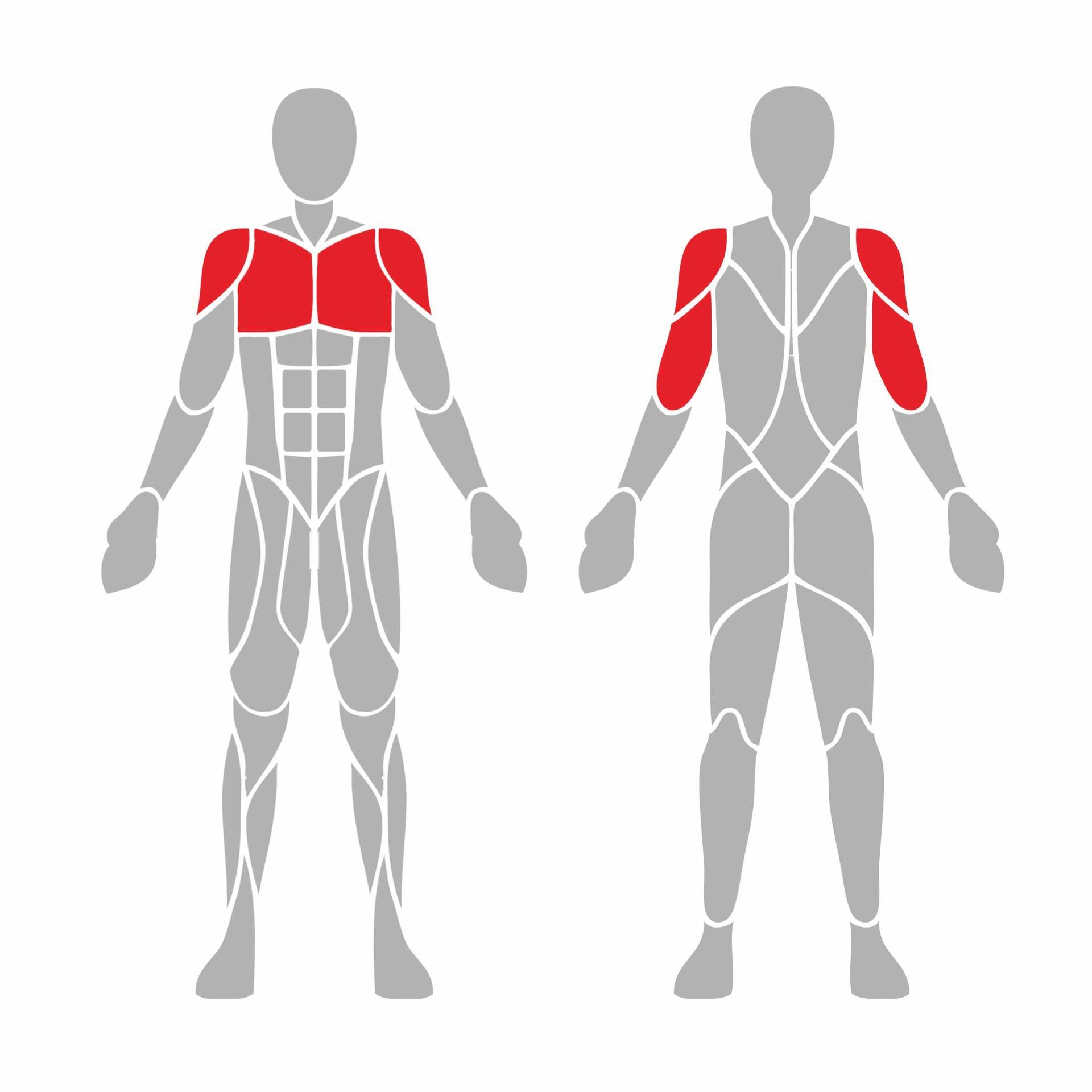 OPTPRI-002 OPTIFIT PRIME OUTDOOR VARIABLE LOAD SEATED FLY MUSCLES USED OPTPRI-002 OPTIFIT PRIME OUTDOOR VARIABLE LOAD SEATED FLY MUSCLES USED