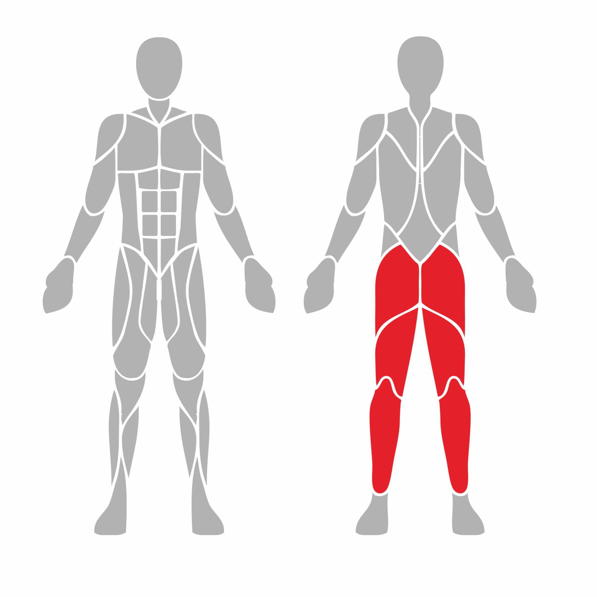 OPTPRI-003 OPTIFIT PRIME OUTDOOR VARIABLE LOAD LEG CURL MUSCLES USED OPTPRI-003 OPTIFIT PRIME OUTDOOR VARIABLE LOAD LEG CURL MUSCLES USED