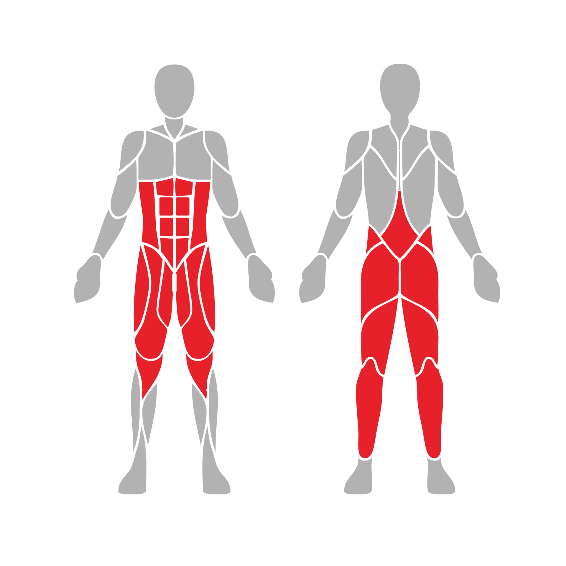 OPTPRI-009 OPTIFIT PRIME OUTDOOR VARIABLE LOAD ABDOMINAL CRUNCH MUSCLES USED