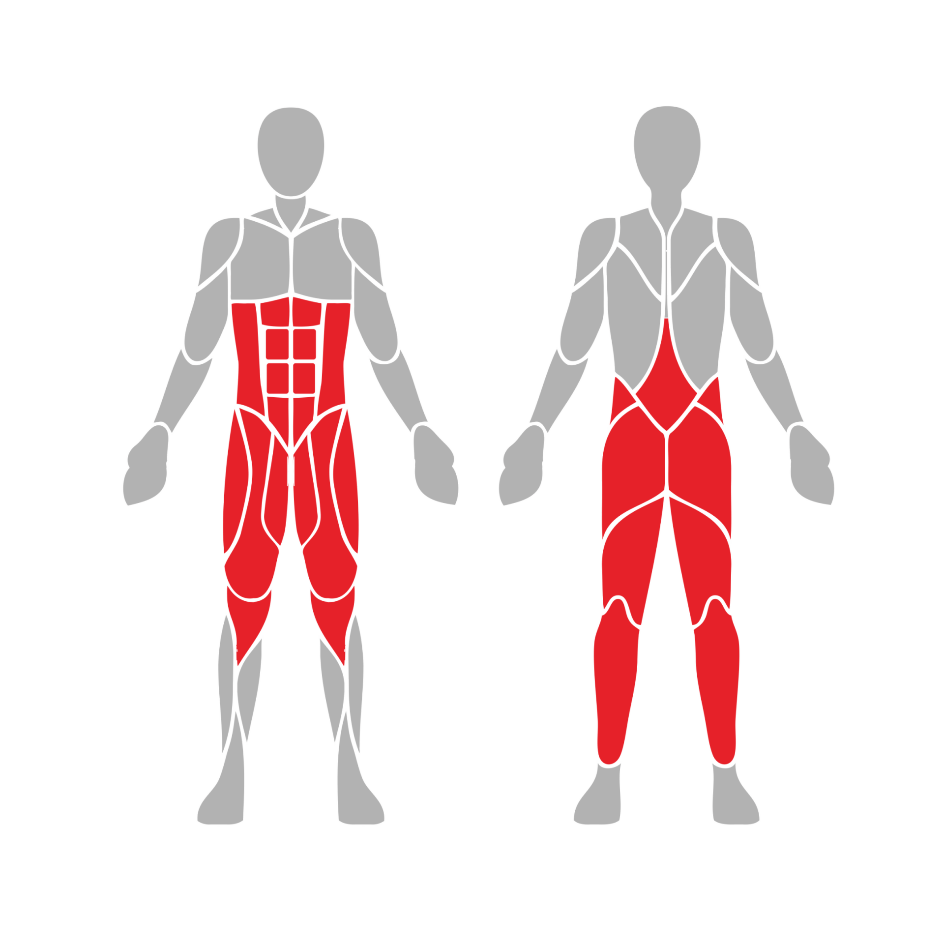 OPTIGN-001 OPTIFIT IGNITE OUTDOOR VARIABLE LOAD SQUAT MUSCLES USED