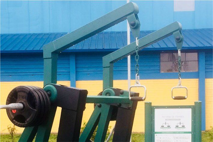 OptiFit Strive Plate Loaded Lat Pulldown Detail OptiFit Strive Plate Loaded Lat Pulldown Detail