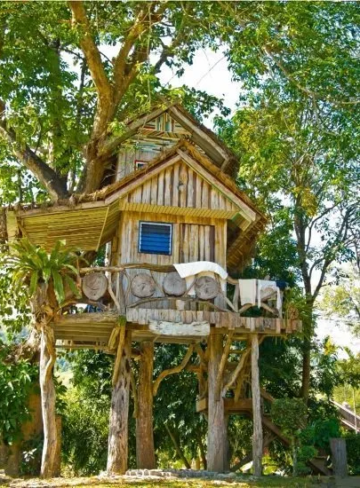 instalacion casa arbol
