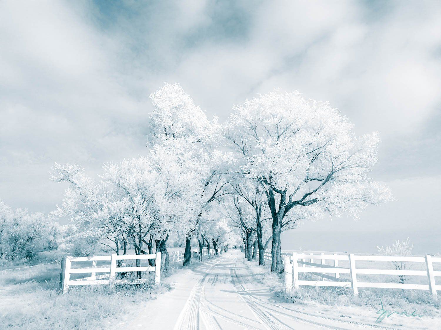 winter home decor, home decor, art, interior decor