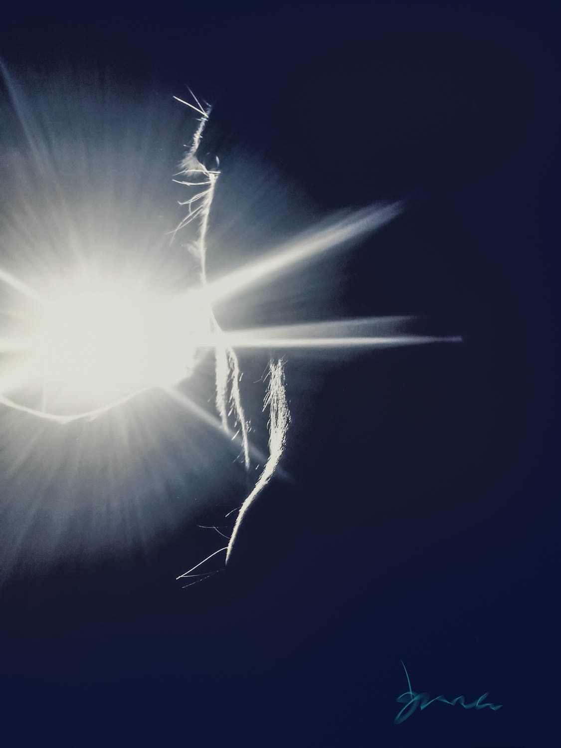 horse home decor, home decor, art, interior decor