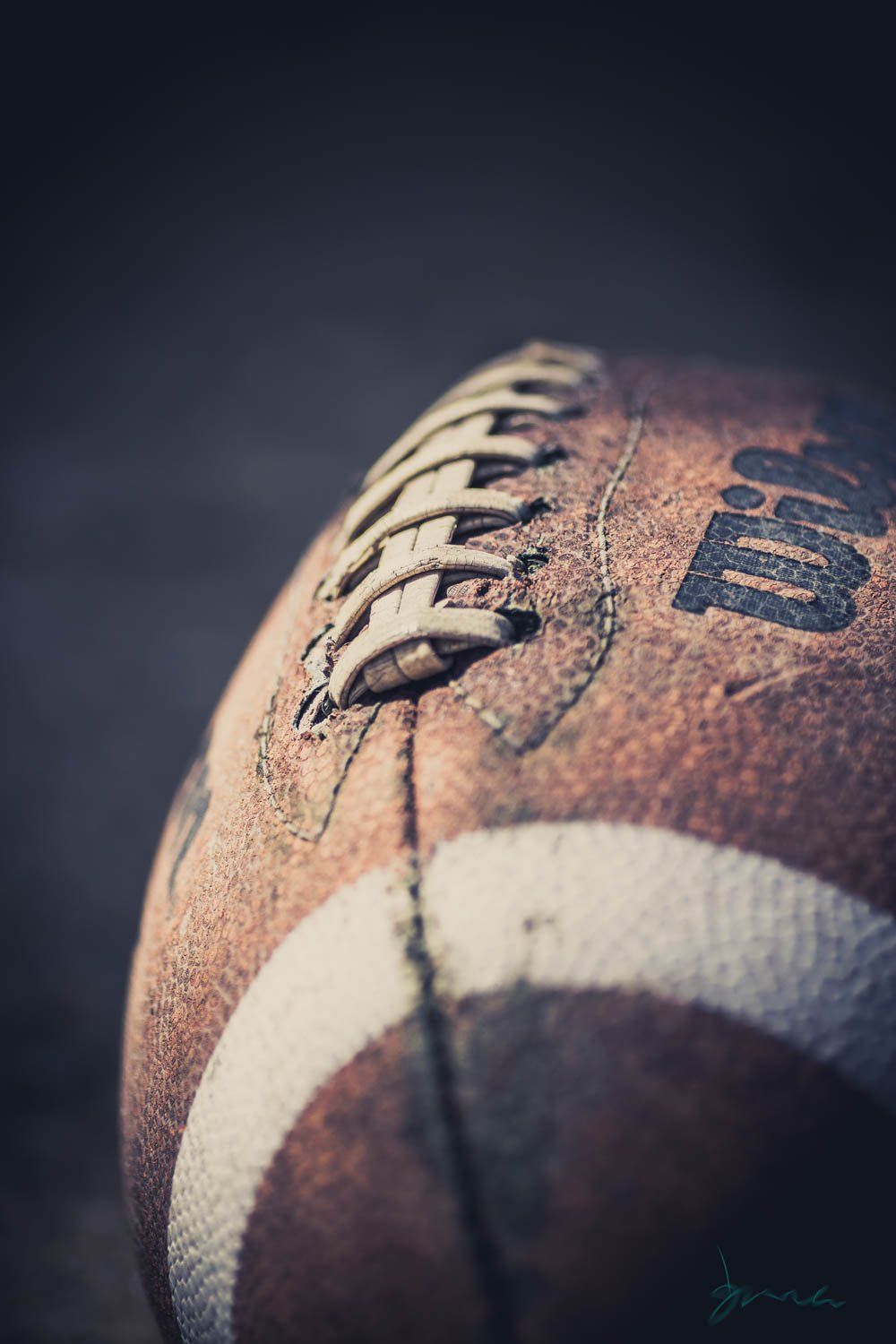 football home decor, home decor, art, interior decor, sport, play, game