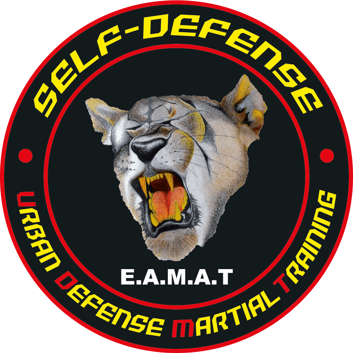 Urban Defense Martial Training® self défense paris